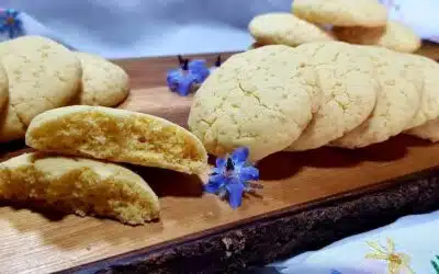 Bioresonanz Wien 12.2023: Glutenfreie Weihnachtsplätzchen – NEU