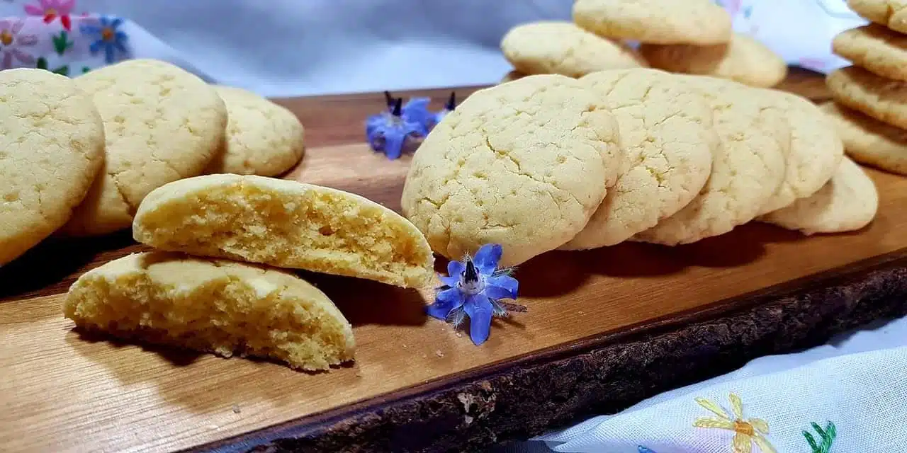 Bioresonanz Wien: Glutenfreie Weihnachtsplätzchen